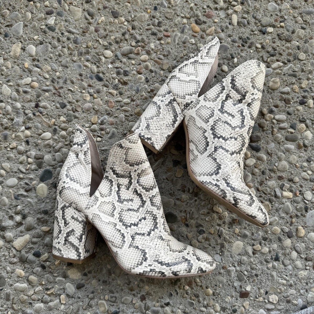 Steve Madden Boots Womens Size Ankle Snake Print Rookie Bootie