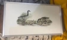 Vintage CORNWALL Electric Warming Hostess Tray Ducks Farmhouse Country