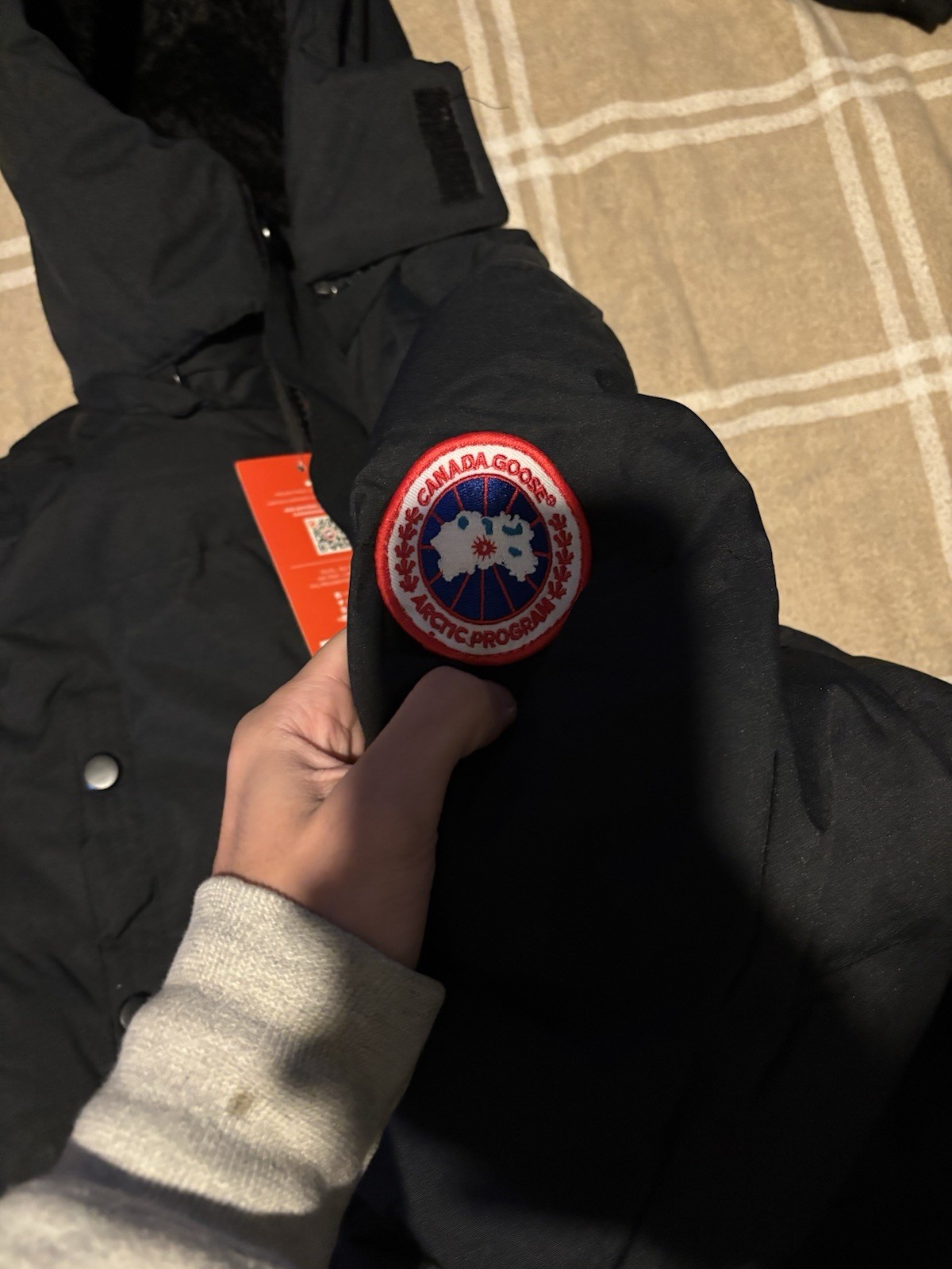 goose canada thumbnail 4