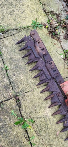 Wolseley Merry Tiller Sickle Mower Rotovator - Picture 3 of 11