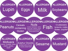 1000 Purple Allergen Label Dots 25mm Food Allergy Stickers Catering Kitchen Roll