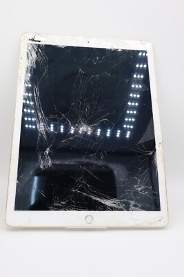 Apple iPad Pro 12.9 Gold WiFi 1.Gen. A1584 32GB AKTIVIERUNGSSPERRE #4734