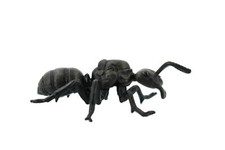 Ant, Common Black Ant, Rubber Insect, Realistic Toy  Model, 3 1/2" CH434