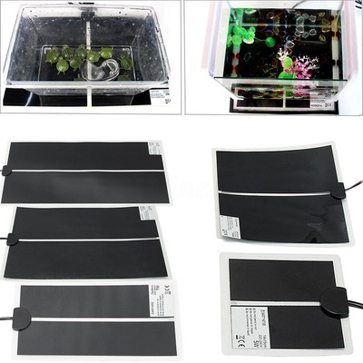 www.ebay.co.uk