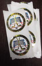 lot of 25 Hockey mylar insert 2