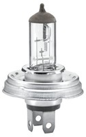 Hella 8GJ 003 133-242 GlüHlampe, Hauptscheinwerfer