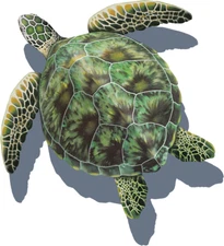 POOL GREEN SEA TURTLE 19"x19" MOSAIC W/ SHADOW (CUSTOM MOSAICS - PORC-GT3-18/SH)