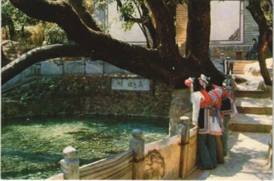 CPM The Butterfly Spring CHINA (1297434)