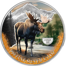 2025 Cameroon American Moose Elk Deer Silver Colored Coin USA Wildlife Fauna WWF