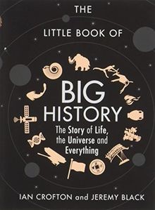 The Little Book of Big History: The Story of Life, ... | Buch | Zustand sehr gut