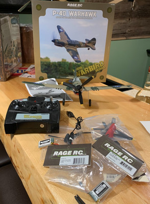Rare Rage Micro Warbird Series Curtiss P-40 Warhawk RC Airplane w/ Extras & Box