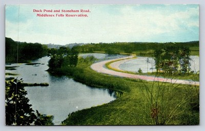 Postcard MA Duck Pond & Stoneham Road Middlesex Fells Reservation c1910s BB7 