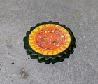 TMNT TEENAGE MUTANT NINJA TURTLES PIZZA DISC BLACK BELT STORAGE SHELL RAPHAEL!!