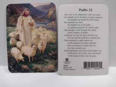 The Good Shepherd Warner Sallman GLOSSY Pocket - Psalm 23 -  Prayer Card