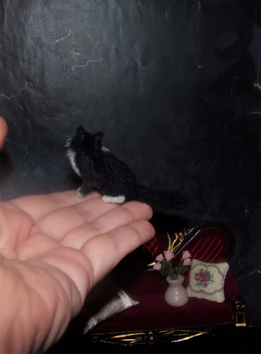 Tuxedo cat realistic MADE TO ORDER OOAK 1:12 Miniature Dollhouse handmade IGMA - Picture 5 of 5