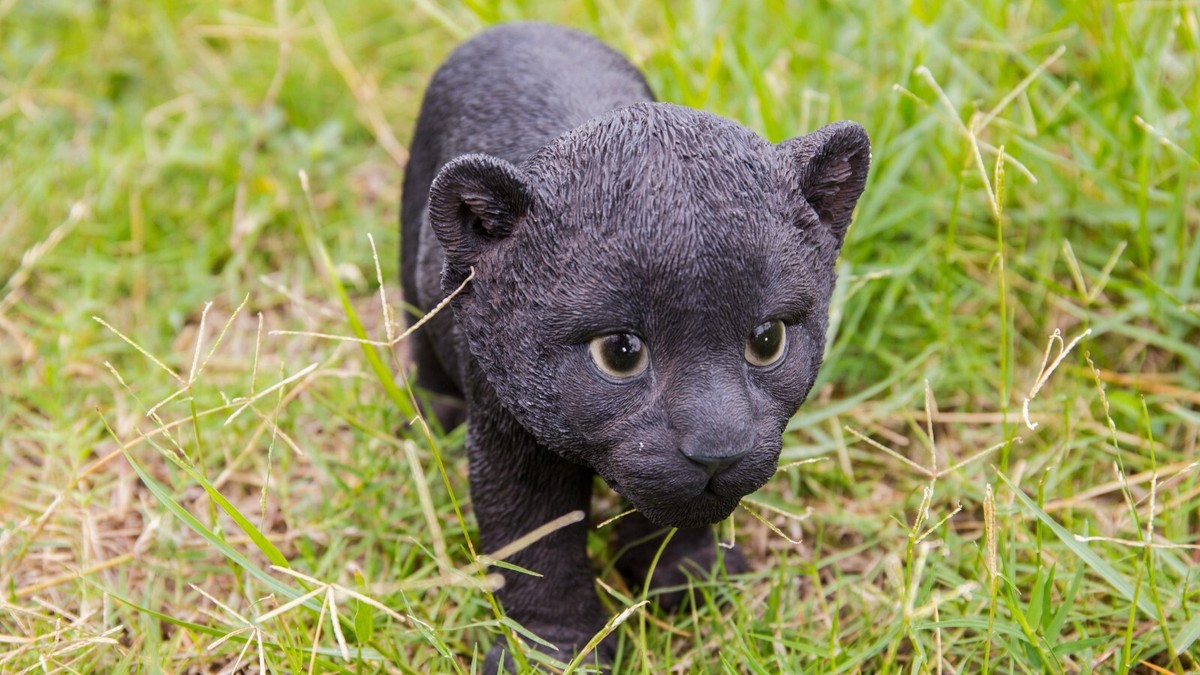 Panther Cub Mini Black Panther Cat Cute Baby Black Panther Cub Black Panther  Sticker TeePublic, image size:1200x675