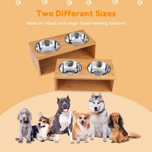 Bandeja elevada elevada de acero inoxidable para comedero de mascotas para perros y gatos - Imagen 8 de 8