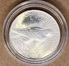 Picture 6 of 7