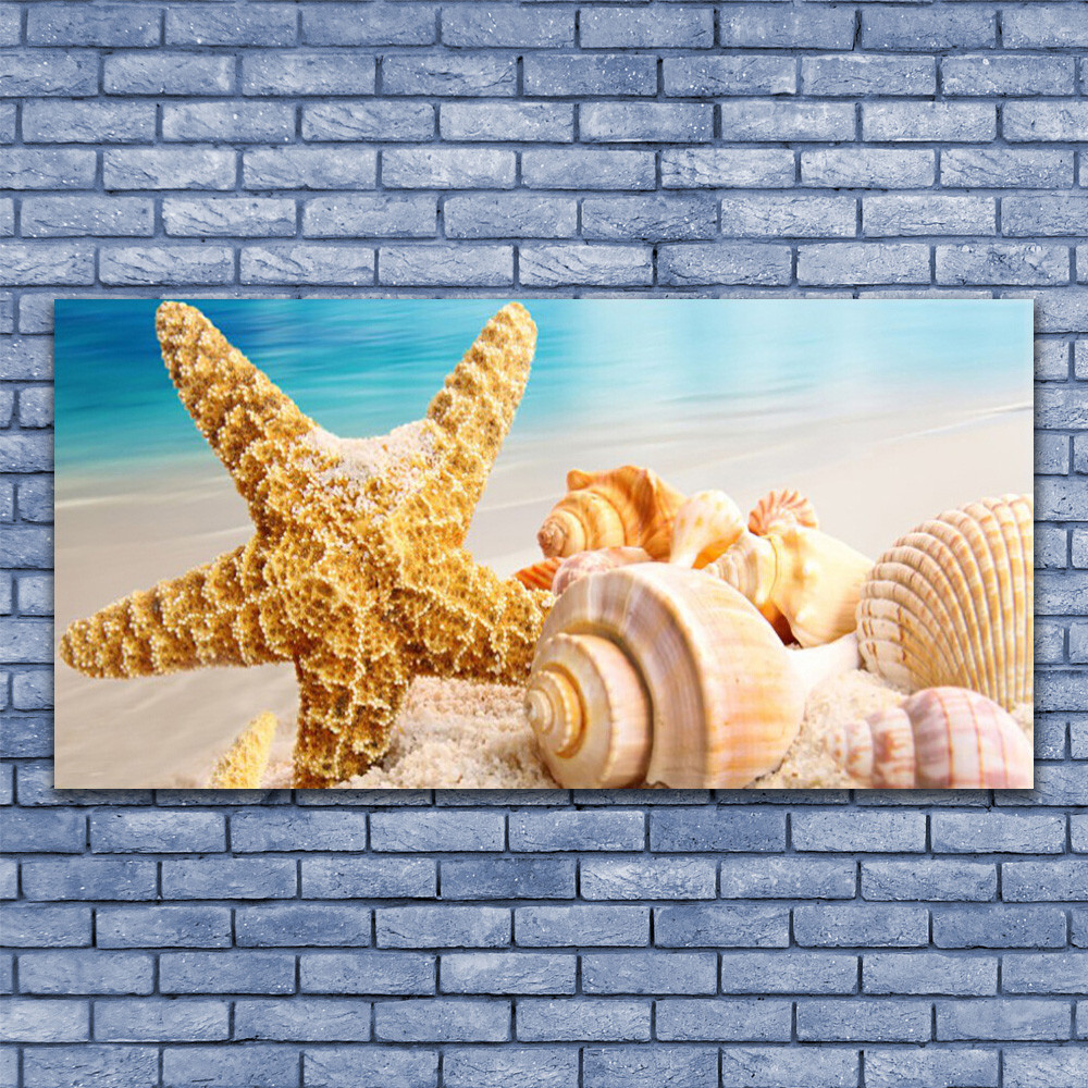 Tableau en verre 140x70 cm Étoile de Mer et Coquillages Océan
