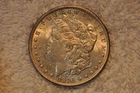 1896 AU  MORGAN DOLLAR. FLAT LUSTRE (#2)