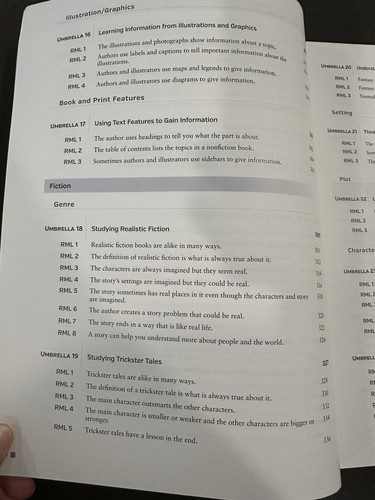 The Reading Minilessons Book Grade 2 Second Education Fountas and Pinnell  - Picture 7 of 13