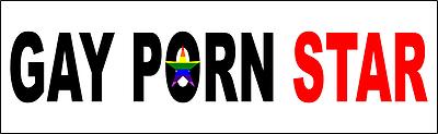 Gay Porn Star Bumper Sticker 9" Vinyl Decal Rainbow Vehicle Car ...