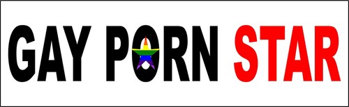 Gay Porn Star Bumper Sticker 9" Vinyl Decal Rainbow Vehicle Car ...