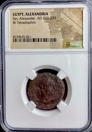 Egypt NGC Genuine Emperor Severus Alexander 222-235AD Ancient Tetradrachm Coin