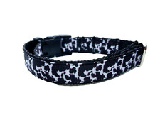 Cow print dog collar 3/4 inch width adjustable cute dog collar