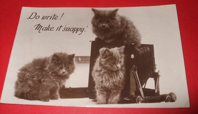 30er Katze RPPC Comic KATZEN KÄTZCHEN SPIELEN MIT STATIV KAMERA MACHEN ES BISSIG RP