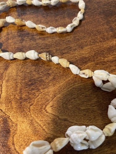 Vintage Sea Shell Beach Surf Coastal Necklace No Closure 36 in - Picture 10 of 11