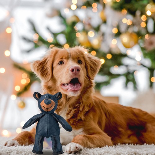 2025 Unbreaka-Bear Mighty Bear Pet Toy Indestructible Tough Dog Toys Squeaky AU - Picture 5 of 10