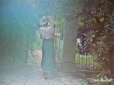 Carte Postale   DAVID  HAMILTON   Format