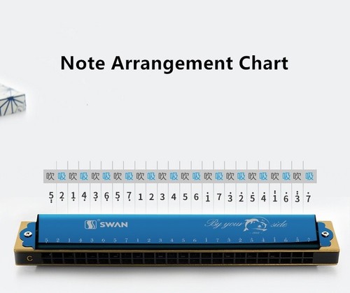 Custom Name Harmonica 24 Holes Tremolo Harmonica Key of C for Musicians Blue - Picture 12 of 12