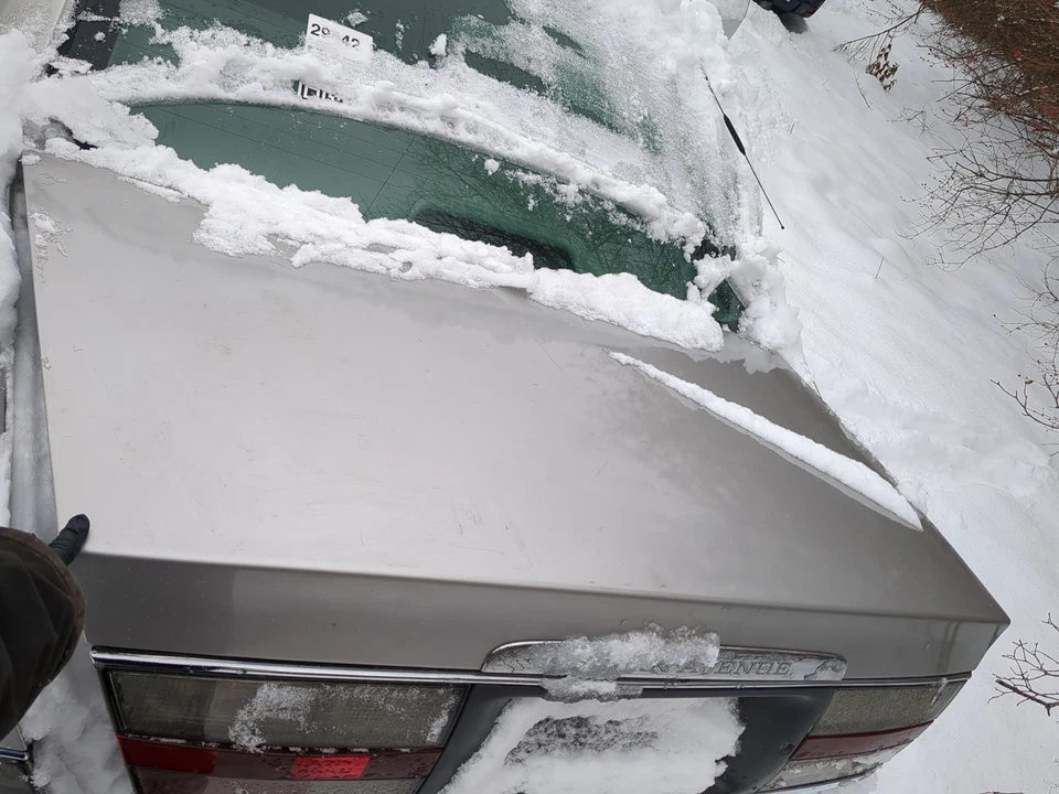 1997-2005 Buick Park Avenue Trunk/decklid/hatch/tailgate Oem RS765 Foto 3 de 3