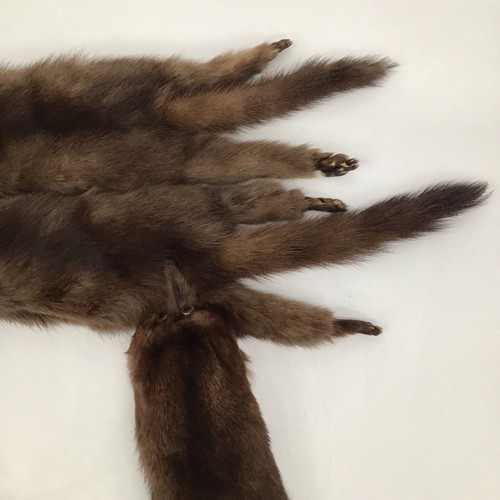 Quadruple Ferret (or Mink) Scarf/Stole - 4 Whole Pelts - Picture 8 of 11
