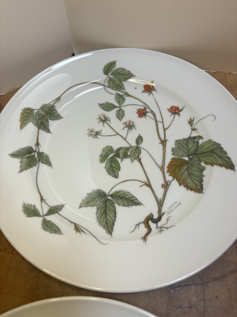 Seltmann Weiden Waldbeere “Wild Berries” Plate Bavaria West