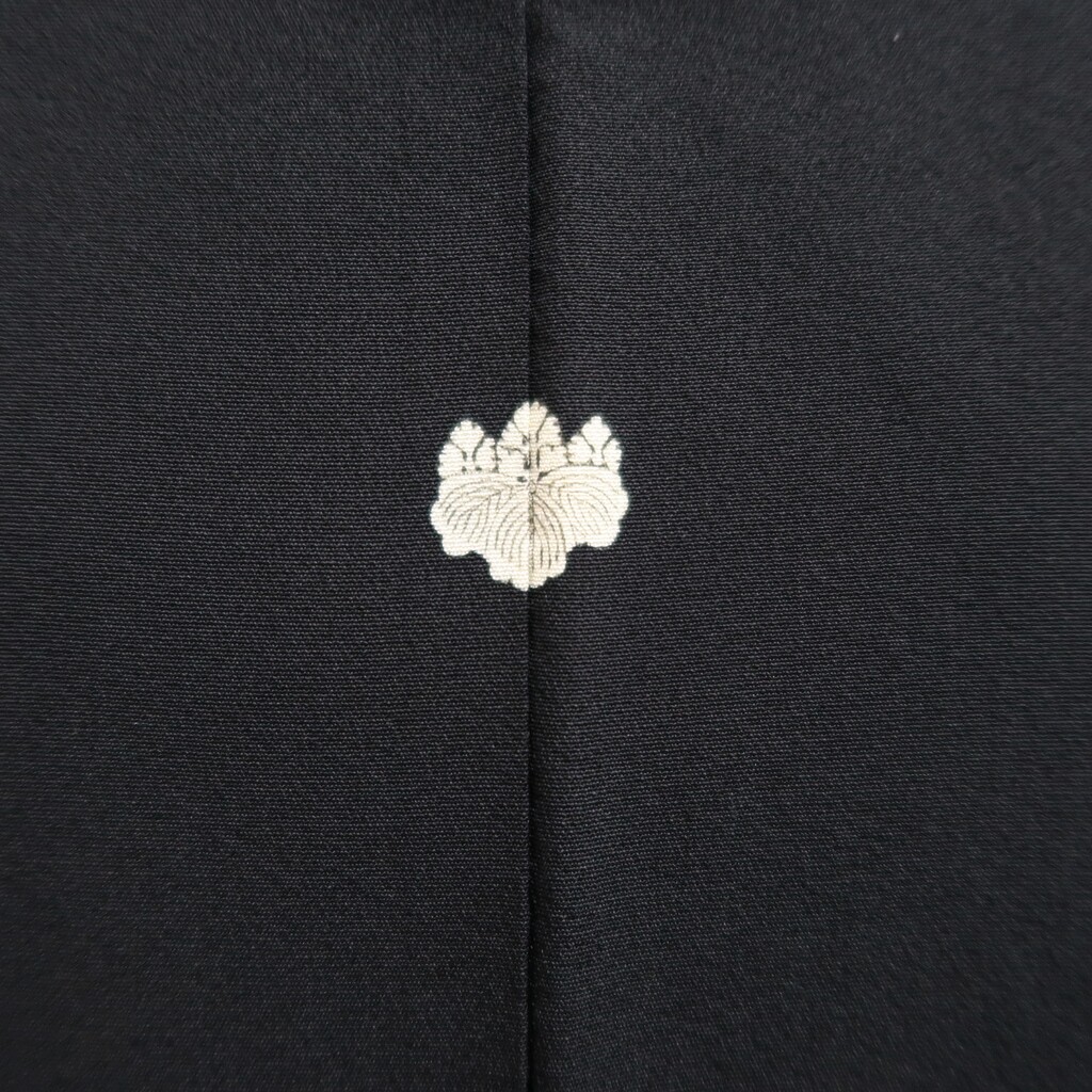 Picture 6 of 9