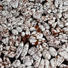 500 grams Wholesale Wild Horse Cabochon Gemstone Pair For Silver Earring Jewelry