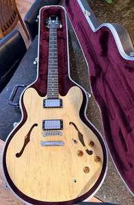 Epiphone 335 Case | eBay