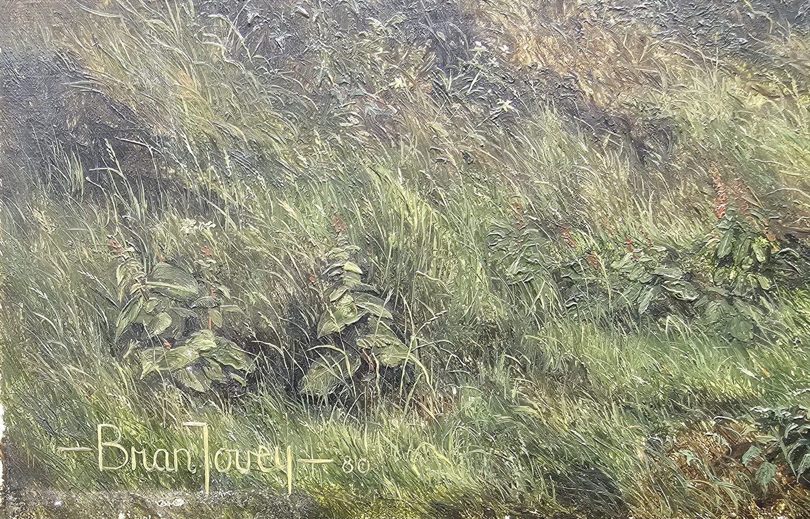 Picture 16 of 19