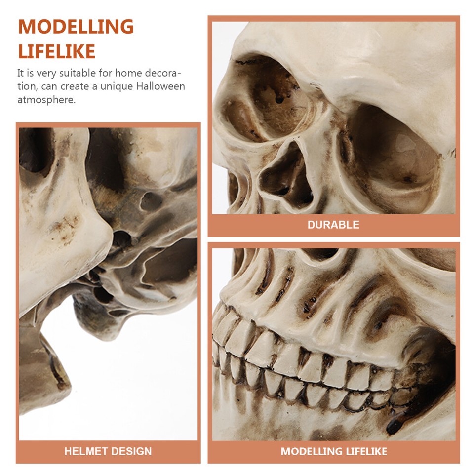 Large Life Like Halloween Skulls Size Head White Decoration Resin