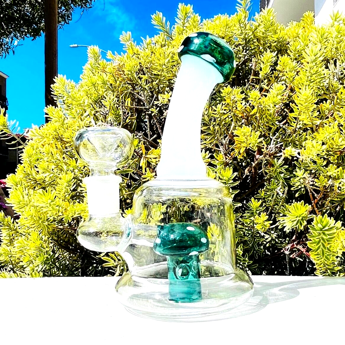 6" Sea Green Golden Teacher Mushroom Bong Tobacco Smoking Glass Water Pipe