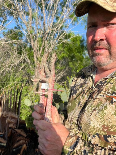 2026 Texas Spring RIO Turkey Hunt - A Detail Package with Reservation Included. - Picture 6 of 18