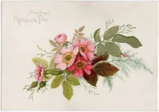 Prang Fine Large Format Birthday Greeting Card - Wild Roses c.1885