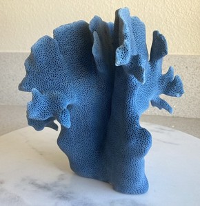 Natural Blue Ridge Coral - 7"W x 7"H x 6"D - 2 LB 4 OZ- A12- Vibrant Color