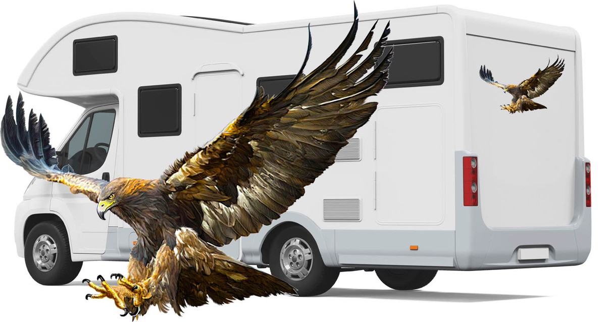 Autocollant Vinyle Aigle Pour Camping-Car / Van - Toutes Tailles - Personnalisable - NEUF UK