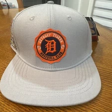 Detroit Tigers Pro Standard Baseball Cap Gray