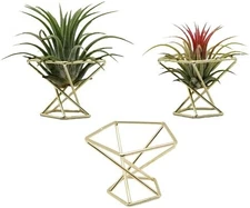 Gold Geometric Air Plant Holder Stand 3pc