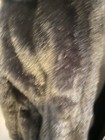 Foto 3 di 6
